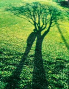 El poder de la sombra (Jung): guía práctica de 5 pasos para integrar tu lado oculto y lograr la plenitud