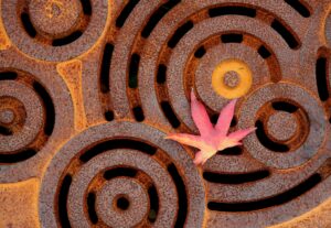 La alquimia de tu energía: cómo dejar de ser un imán de negatividad