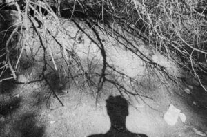 5 Libros Esenciales para Entender la Psicología de Carl Jung, la Sombra y los Arquetipos