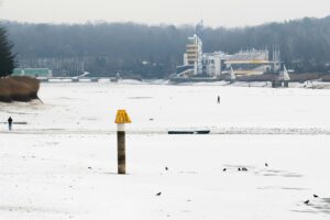 ¿Qué significa mustio?