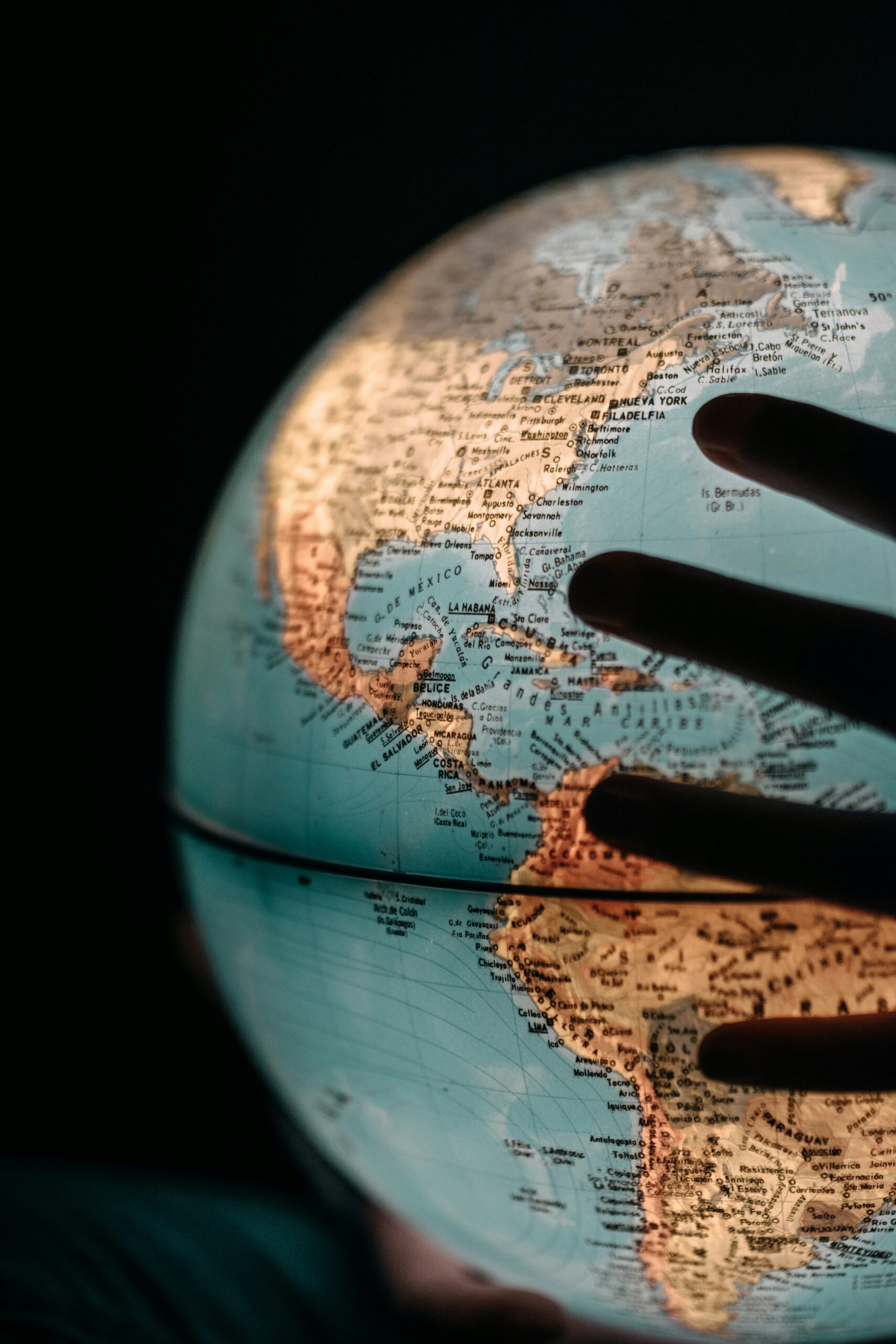 Lo que no sabías (y te alegrará el día): 5 curiosidades sobre el mundo que nos rodea