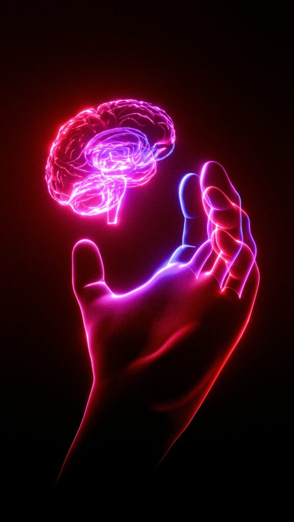 menopausia y cerebro